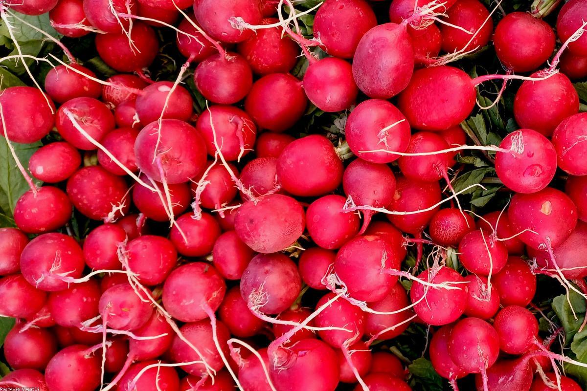 Foods That Fight Inflammation and Aging After 40