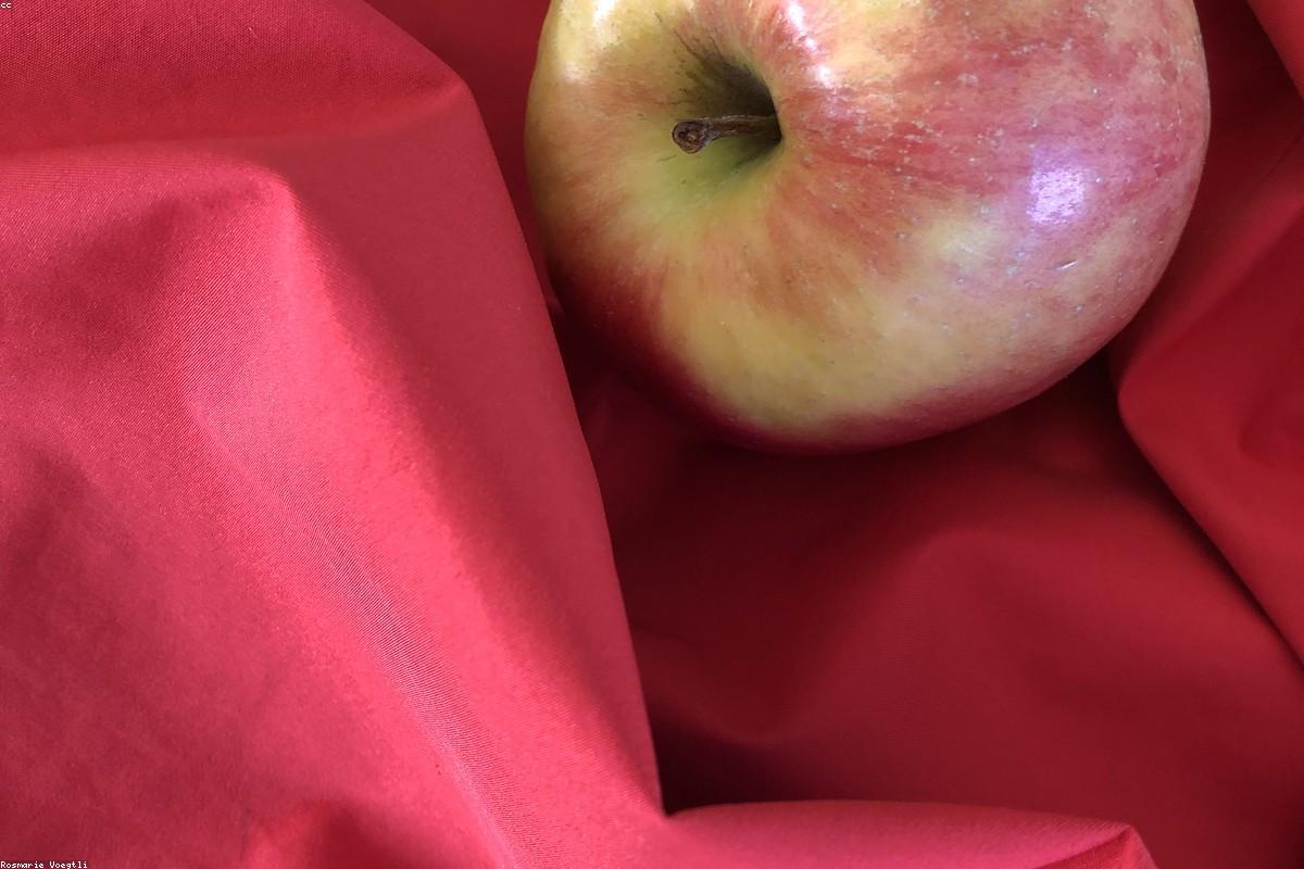 Protein After 40 — How Much You Actually Need