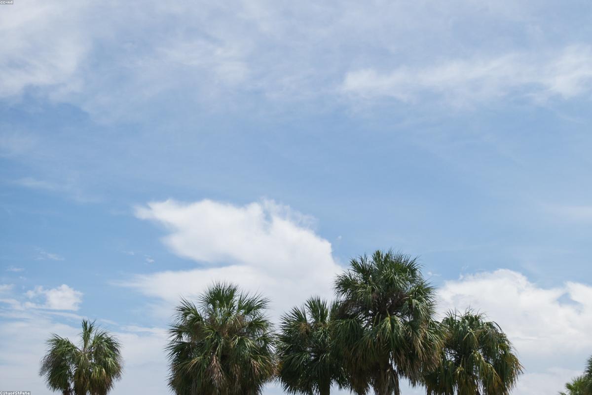 Strength Training After 40 — Why It Matters More Than Ever