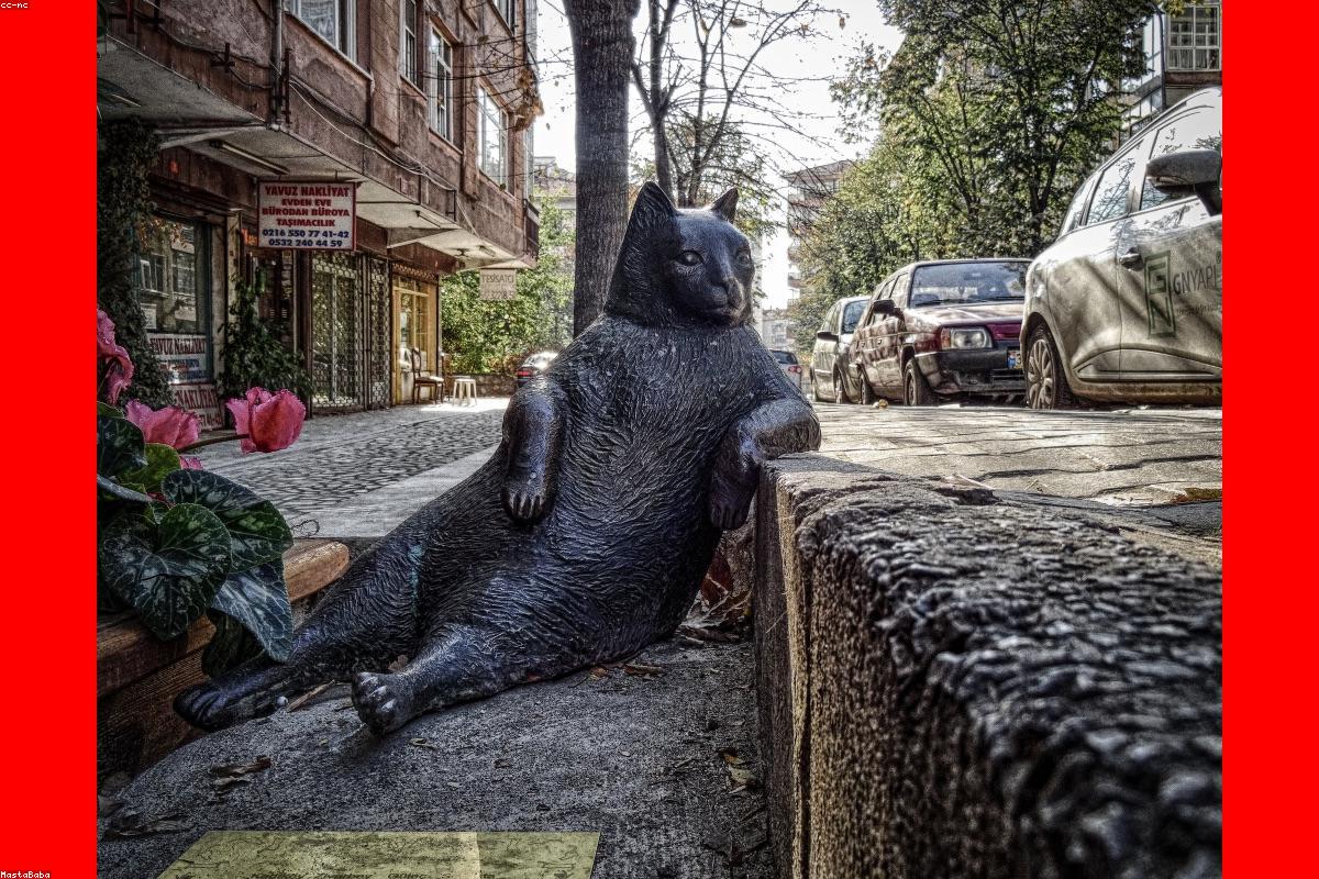 Sexual Performance After 50 — Adapting and Thriving