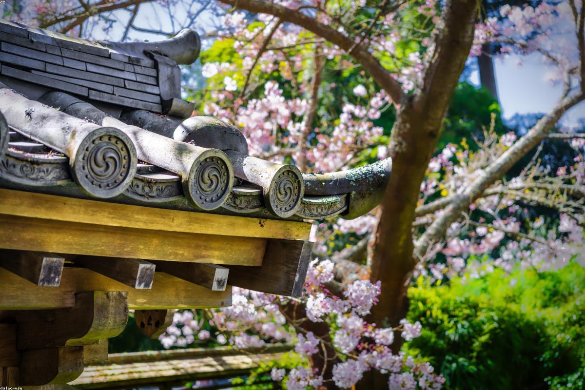 Managing Stress After 40 — The Cortisol Connection