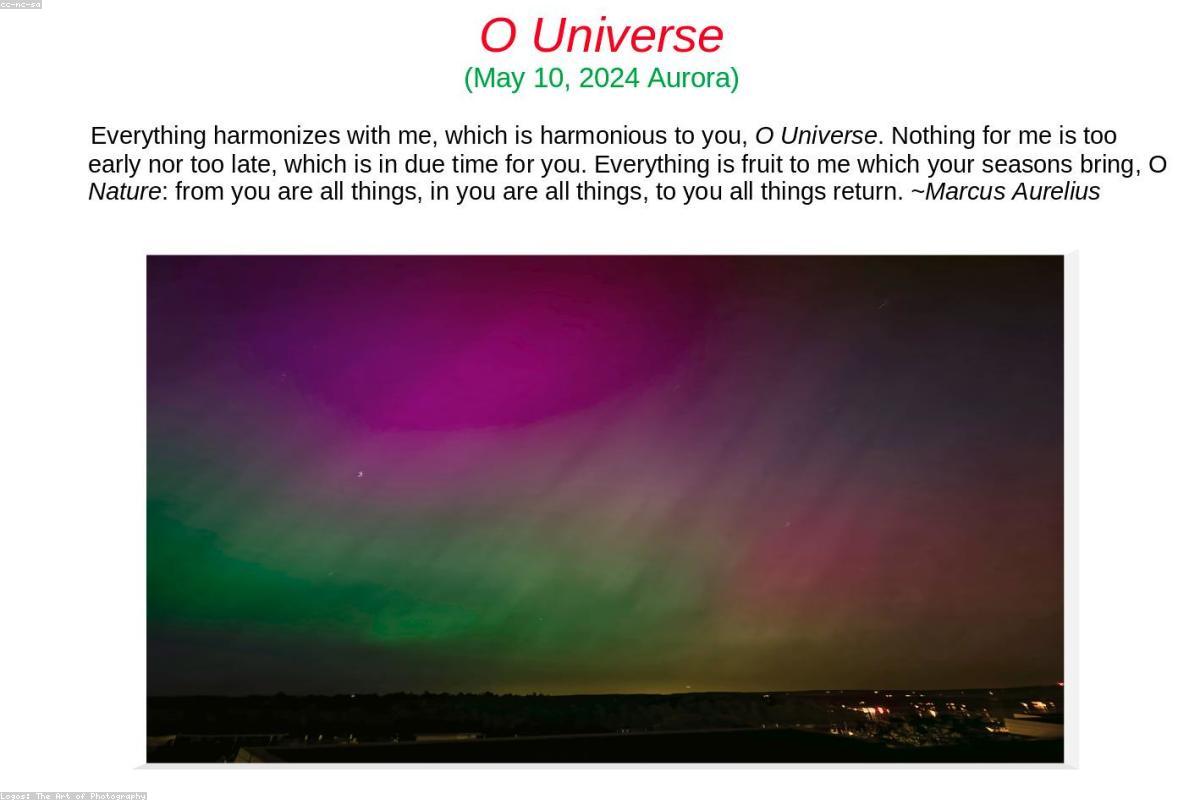 Social Connection and Men's Health After 40